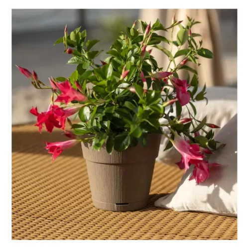Flower pot with tray Ethica Ø20x19cm brown