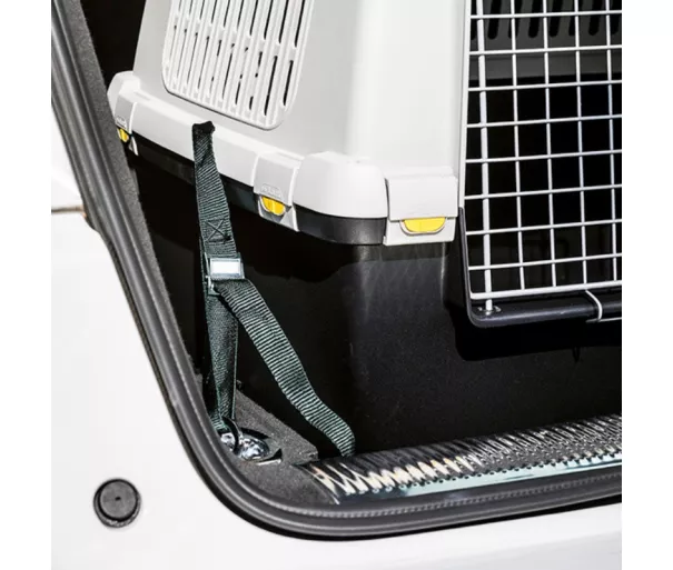 Seat belts for the car 3 pcs. for transport cage Gulliver Touring
