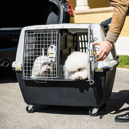 Inner divider panel for transport cage Gulliver Touring black