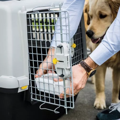 Second large water container 0.5L (Gulliver 4-5-6-7) 16x10x5.7cm white