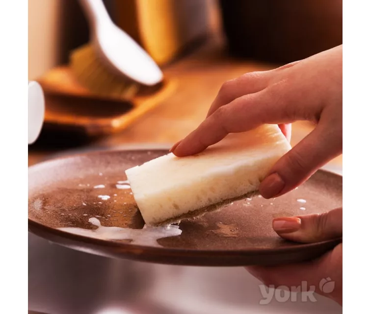 Sūklis trauku mazgāšanai ECO 2 gab.