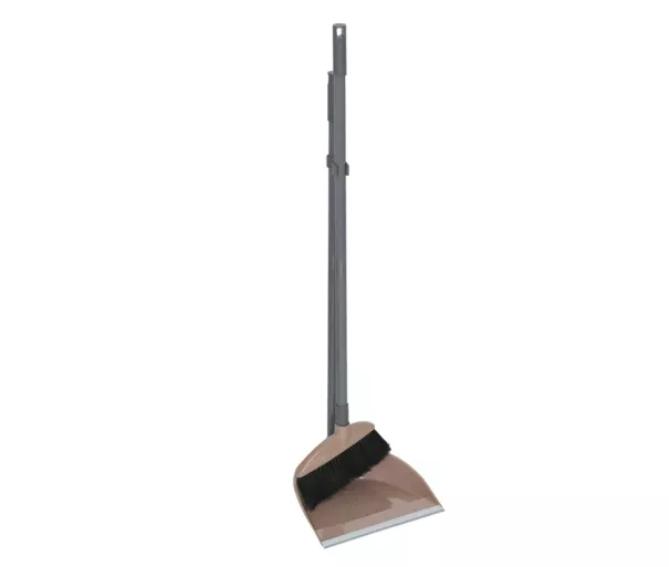 Dustpan with brush and handle