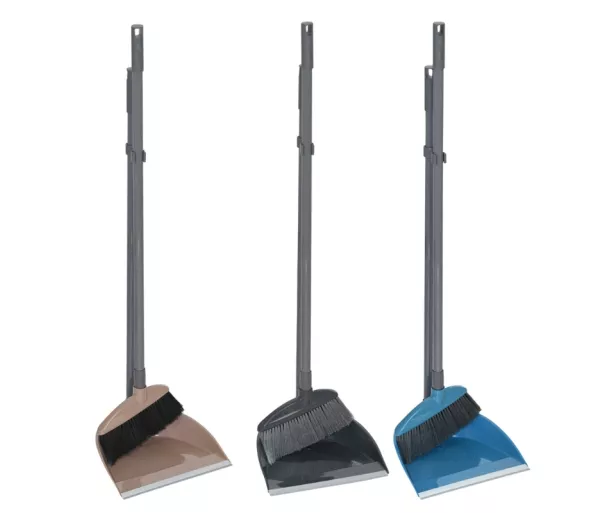 Dustpan with brush and handle
