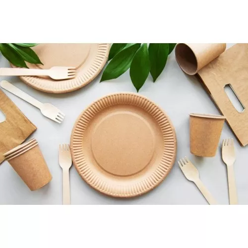 Kraft paper plates Go Green Ø22cm 20 pcs/0,20kg