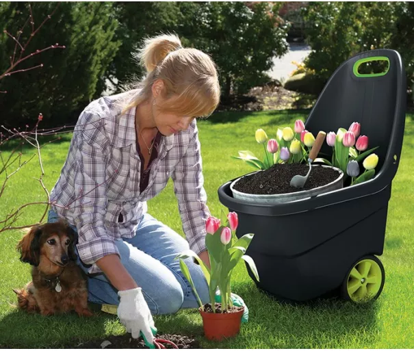 тачка Easy Go XL 62L темно-серый