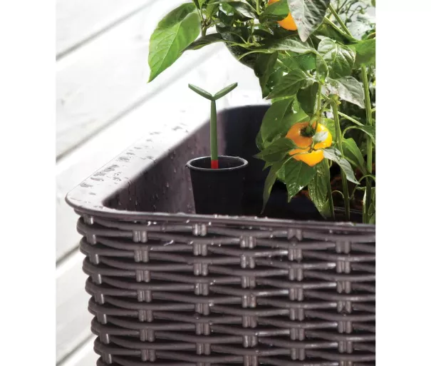 Lillepott Keter G-ROW