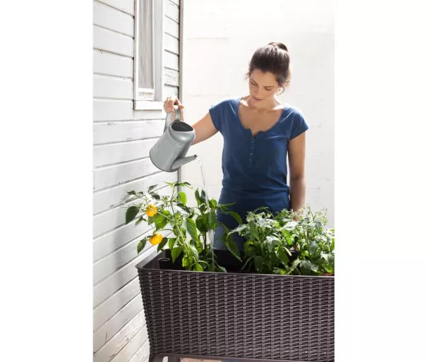 Lillepott Keter G-ROW