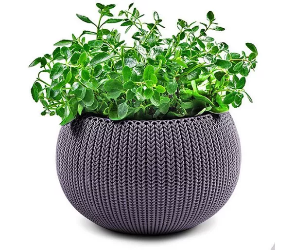 Puķu pods karināms Cozy M With Hanging Set violets