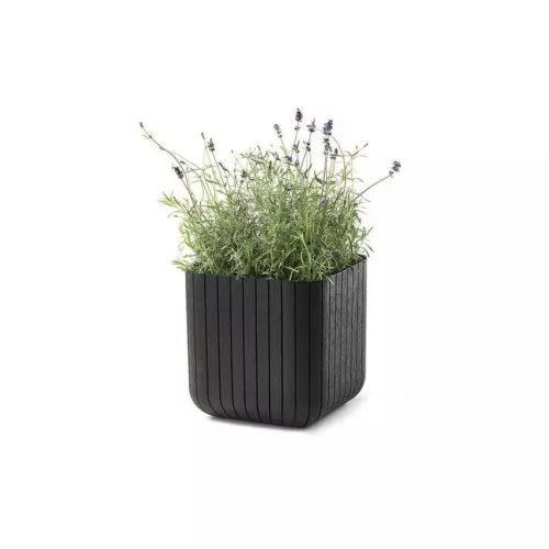 Keter vazonas Cube Planter, 21,5 l, rudas