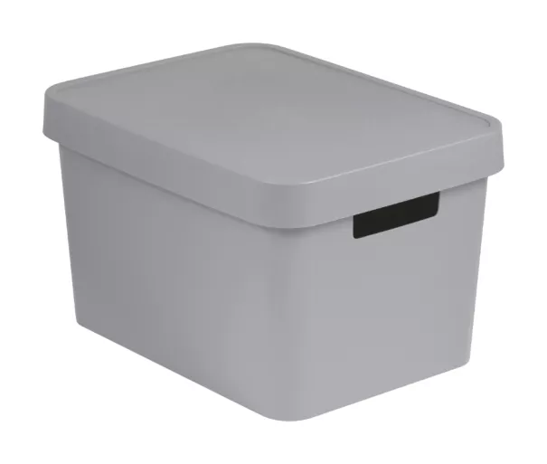 Hoiukast Curver Infinity 17 l, hall