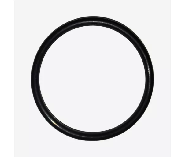 LEIFHEIT O-Ring for vacuum window cleaner Nemo