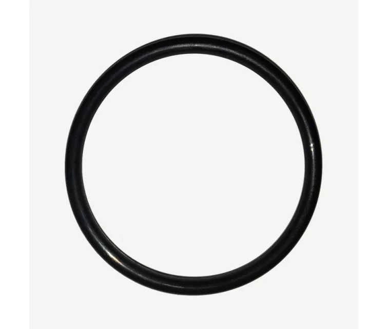 LEIFHEIT O-Ring, skirtas vakuuminiam langų valytuvui Nemo