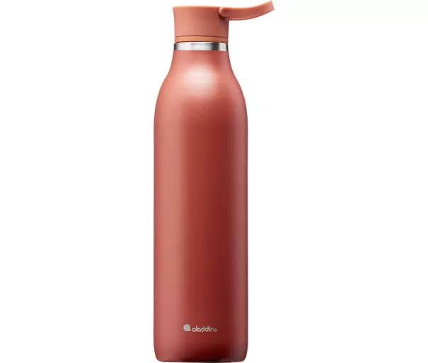 CityLoop Thermavac eCycle vandens butelis 0,6 l perdirbto nerūdijančio plieno. Plienas / terakota