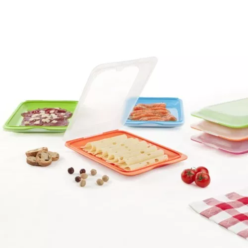 Контейнер для хранения мясной нарезки Fresh 17x25.2x3.2см зеленый