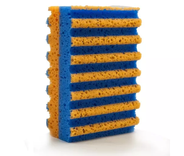 Sponge in four shades Colour